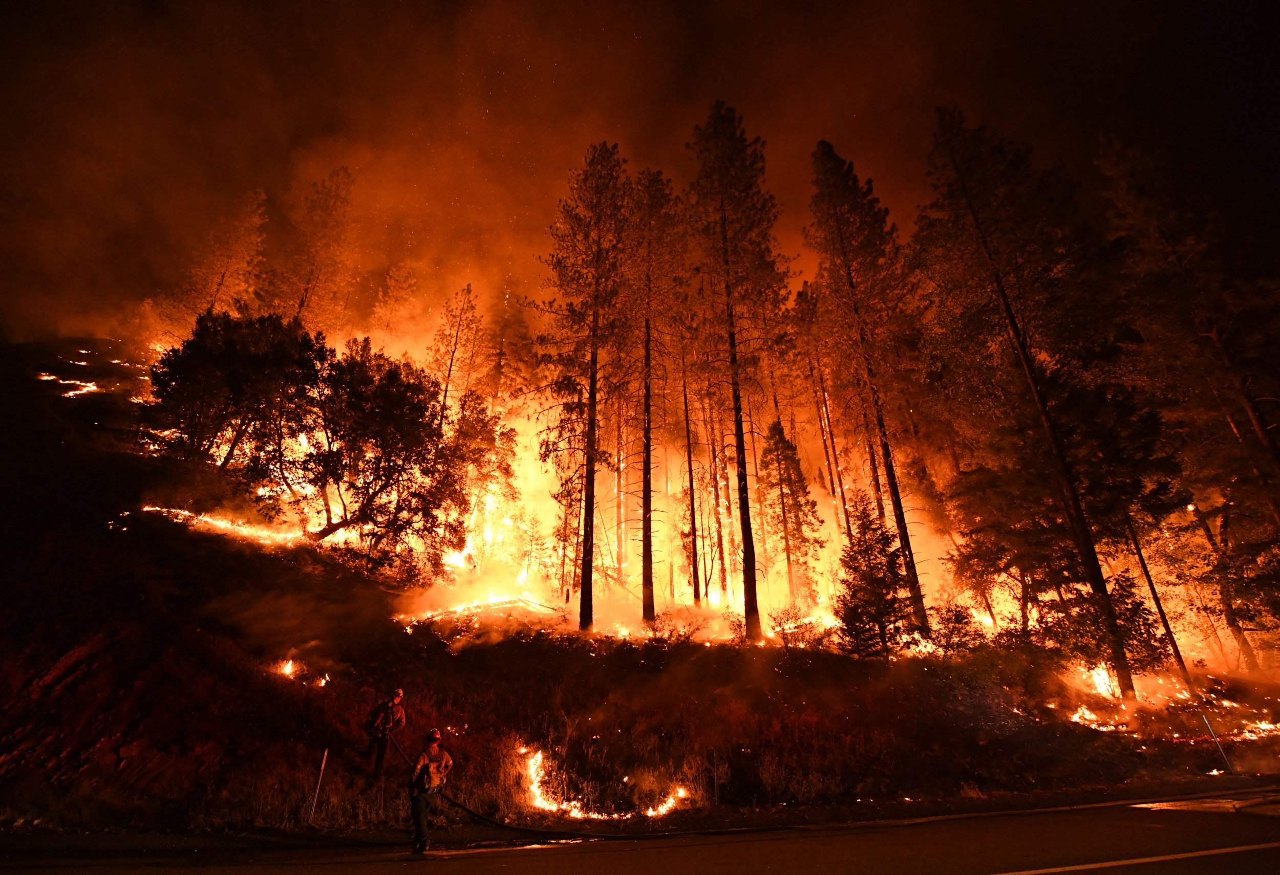 Italy Forest Fires