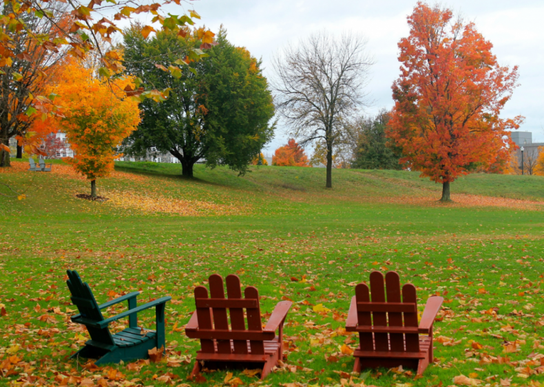 The best private college in every state with the most bang for your buck 31 Vermont: Middlebury College