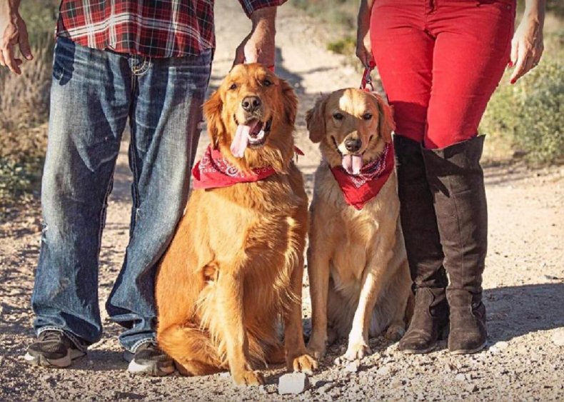 10 heartwarming stories about dogs saving humans' lives 4 Todd