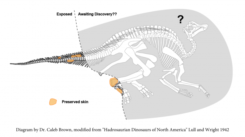 Mama Dinosaurier
