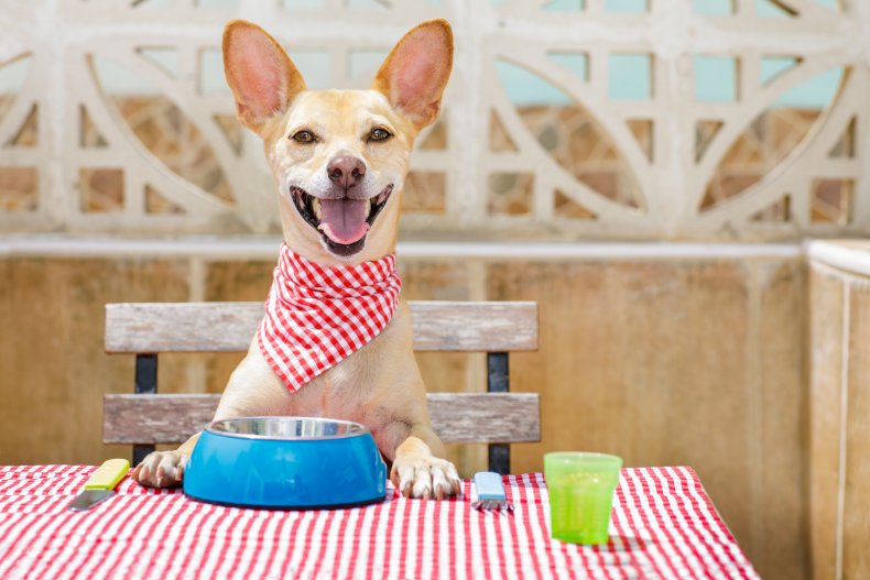 Cane al ristorante