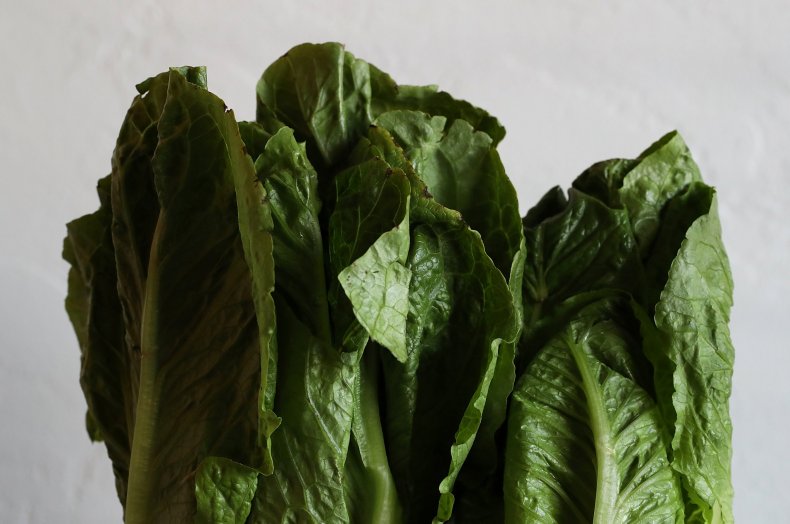 romaine pic