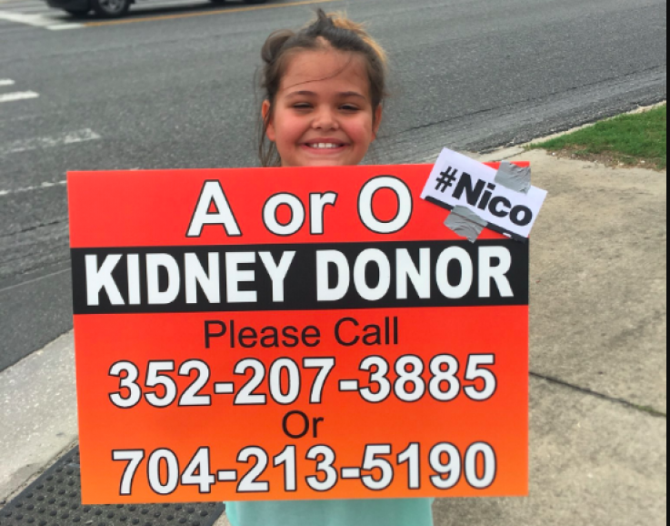 肾脏标志 Kidney Sign
