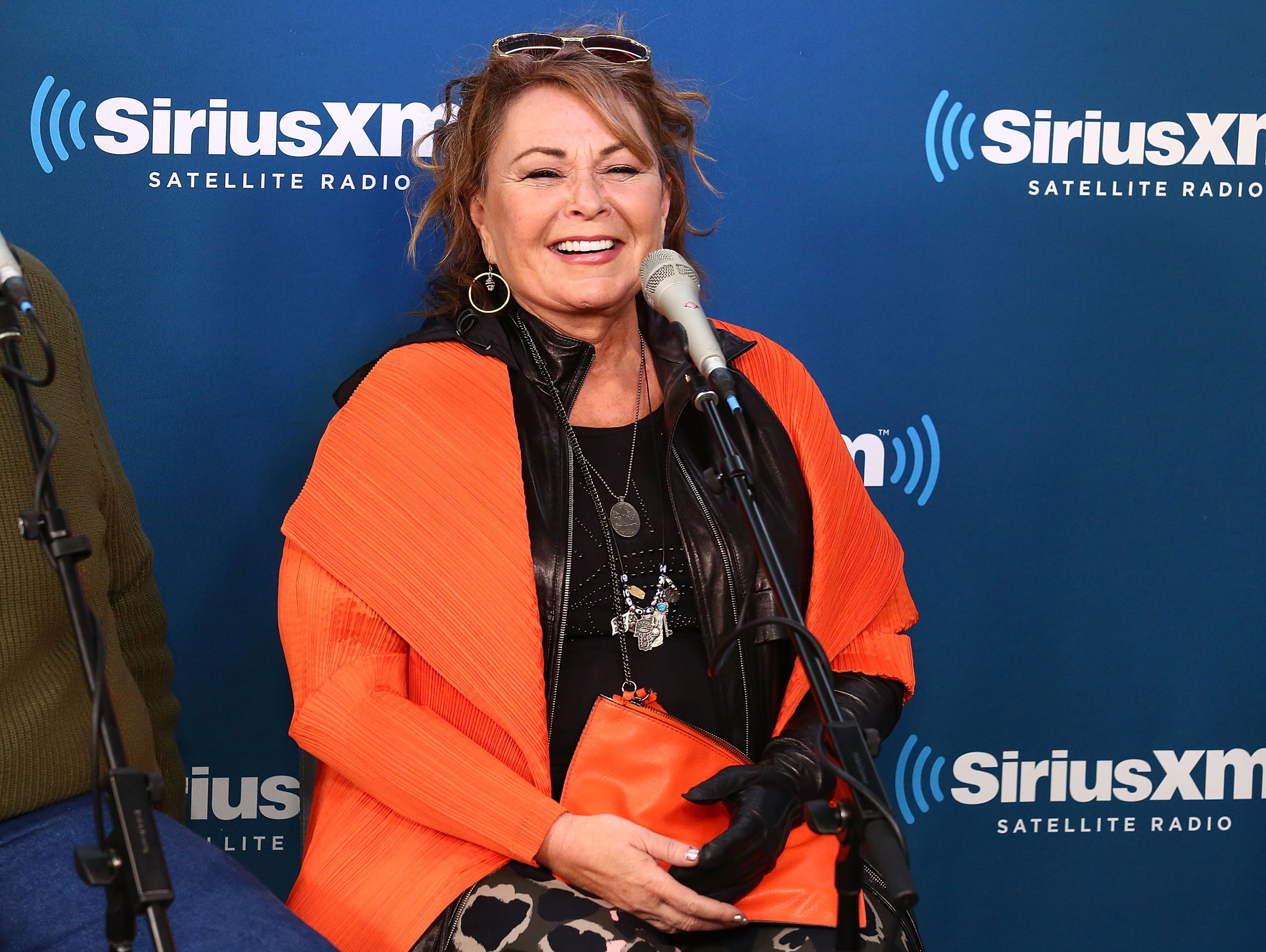 Roseanne Barr to get New TV Show? Comedian Talks About Reaching Out to