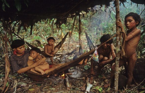 Brazil Battles for  Tribe Known as Guardian of the