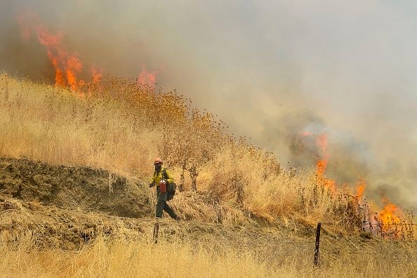 Yolo County Fire Update California Wildfire Burns 86 000 Acres Newsweek   991238522 