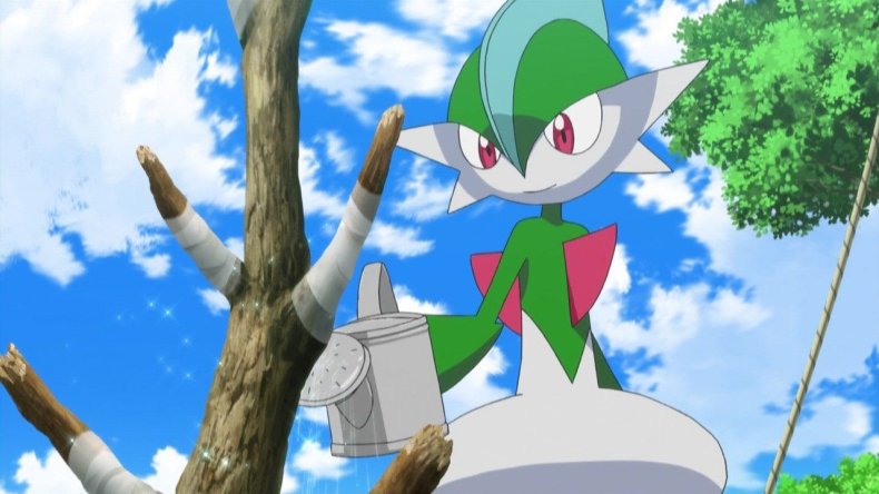 pokemon anime gallade