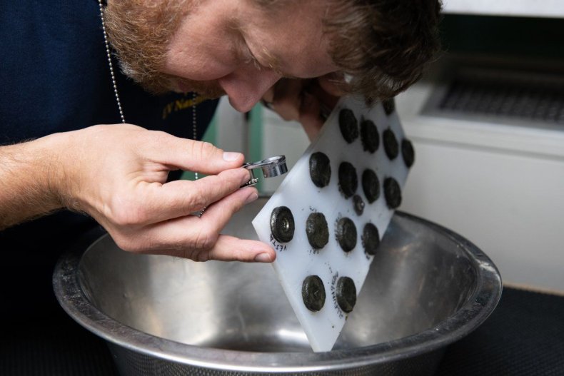 7_6_Meteorite samples