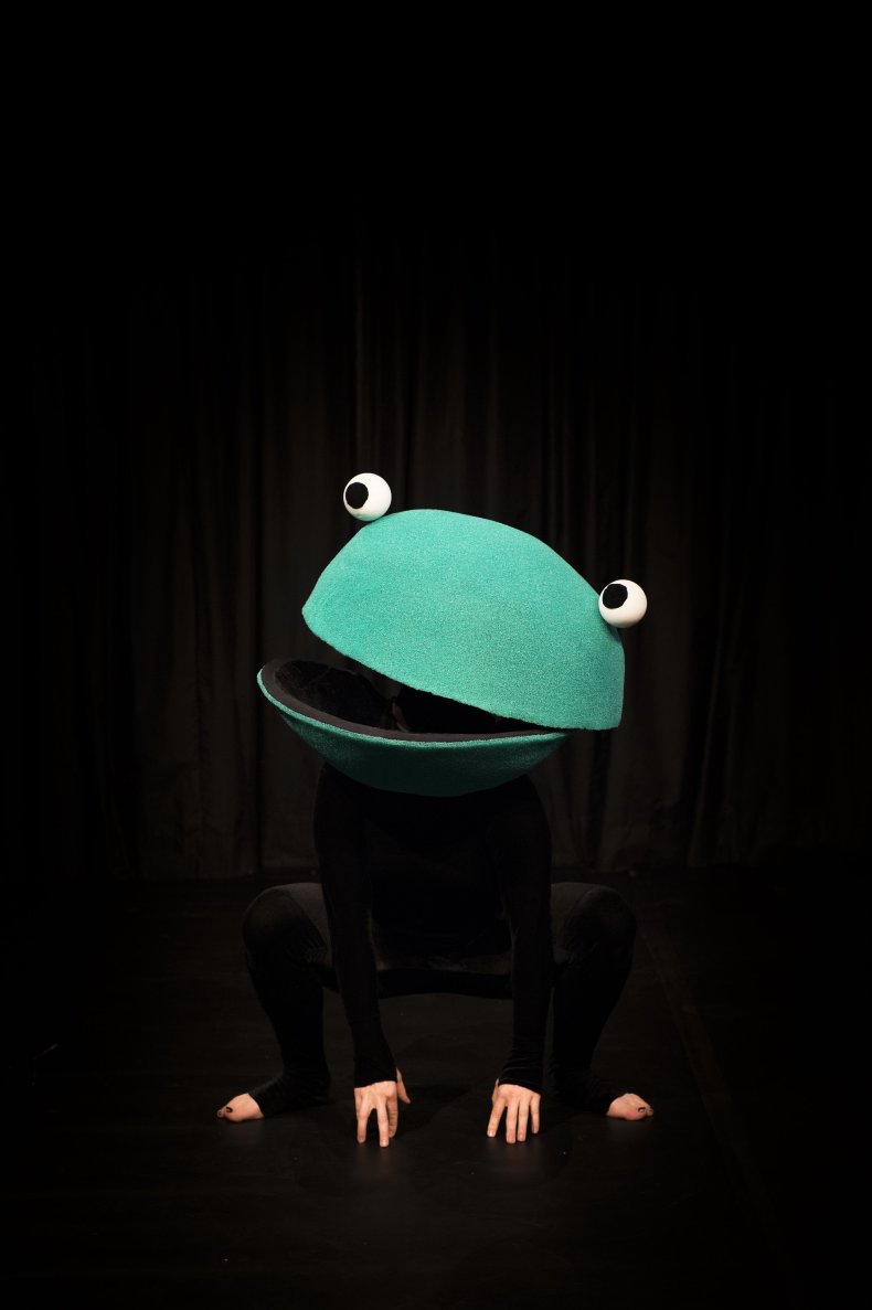 mummen frog mummen frog
