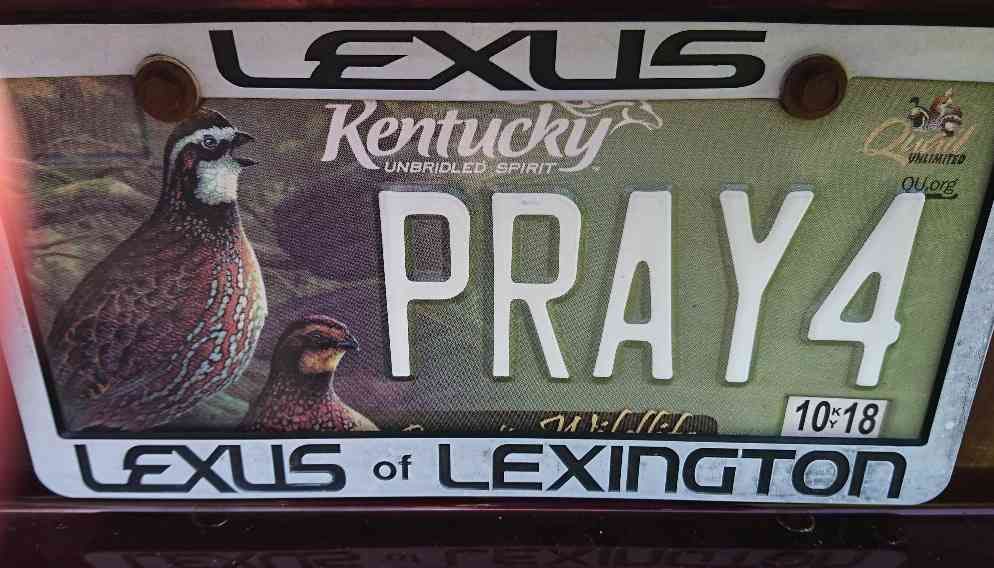 Kentucky State Cheetah License Plate