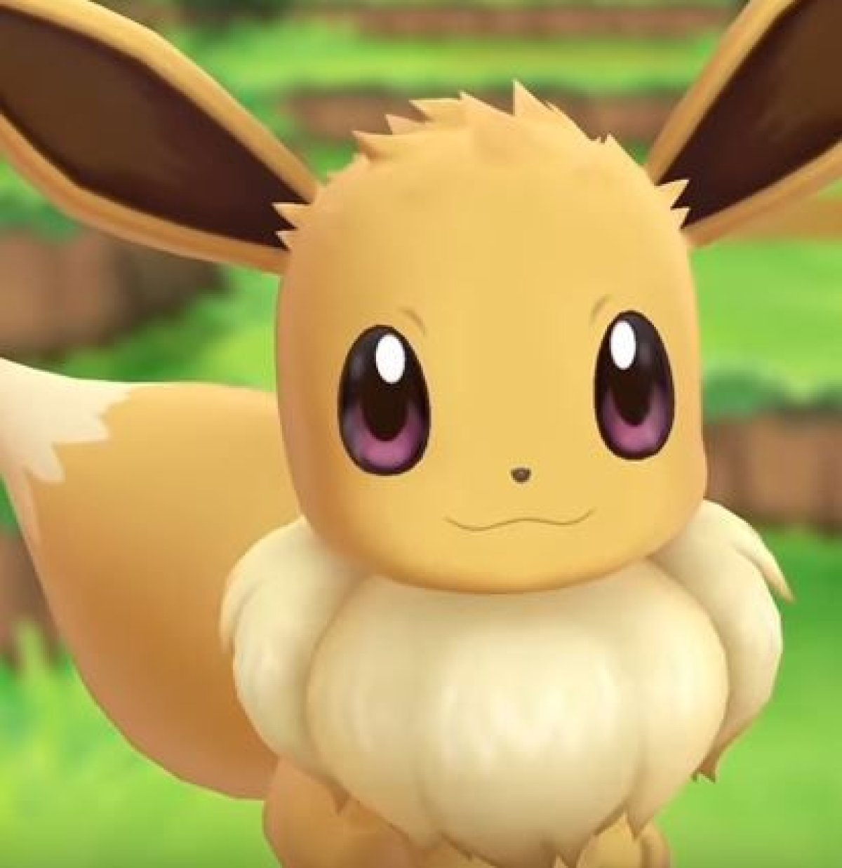 New information revealed for Pokemon: Let's Go, Pikachu / Eevee