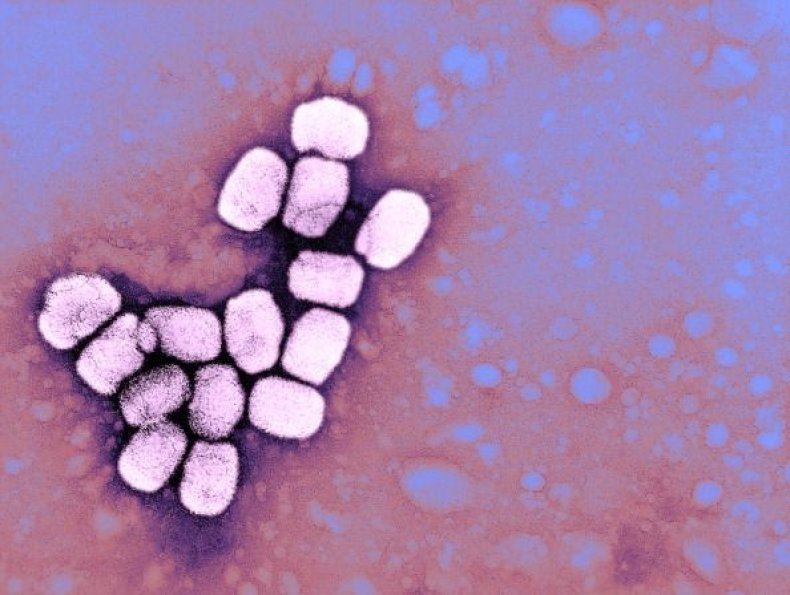 0717-smallpox virus