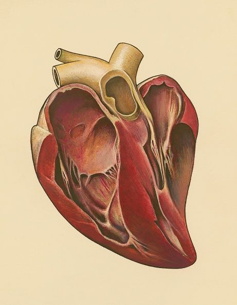 0717-heart