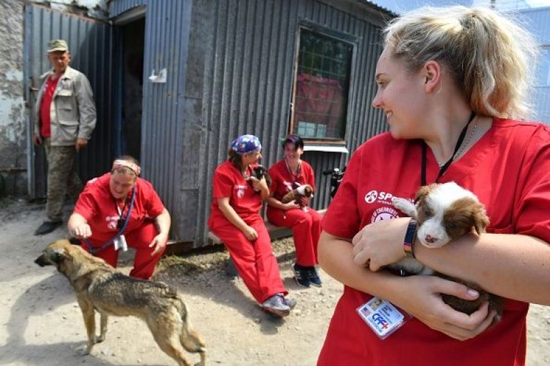 0720-volunteerholdpuppy