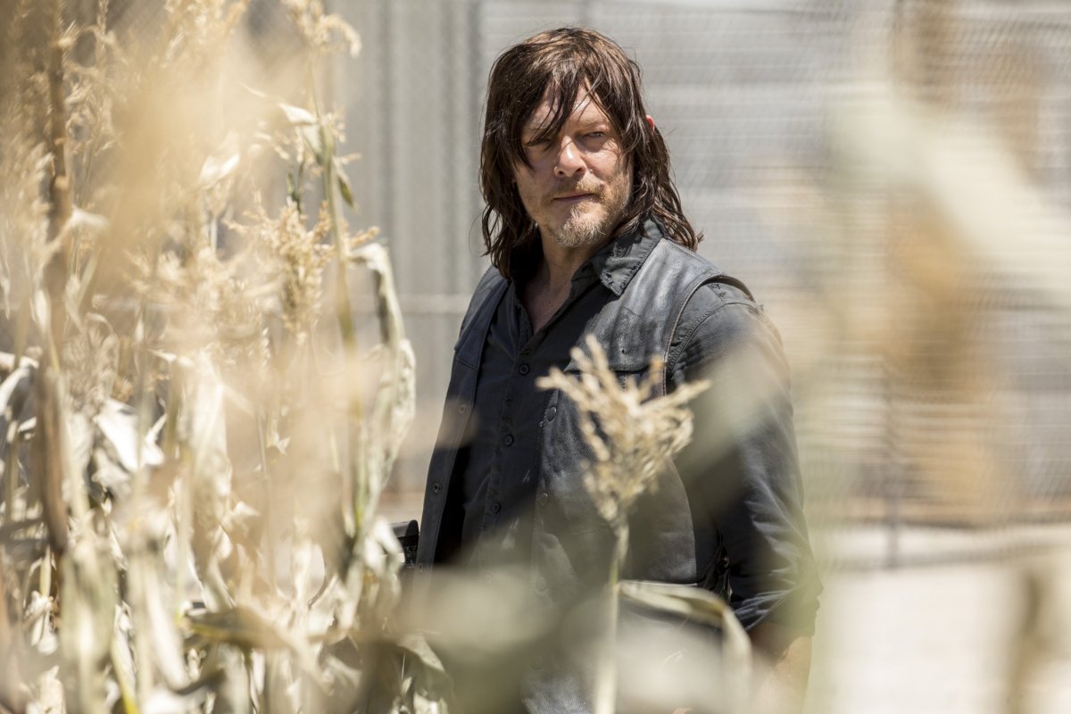 Walking Dead Season 9 Daryl