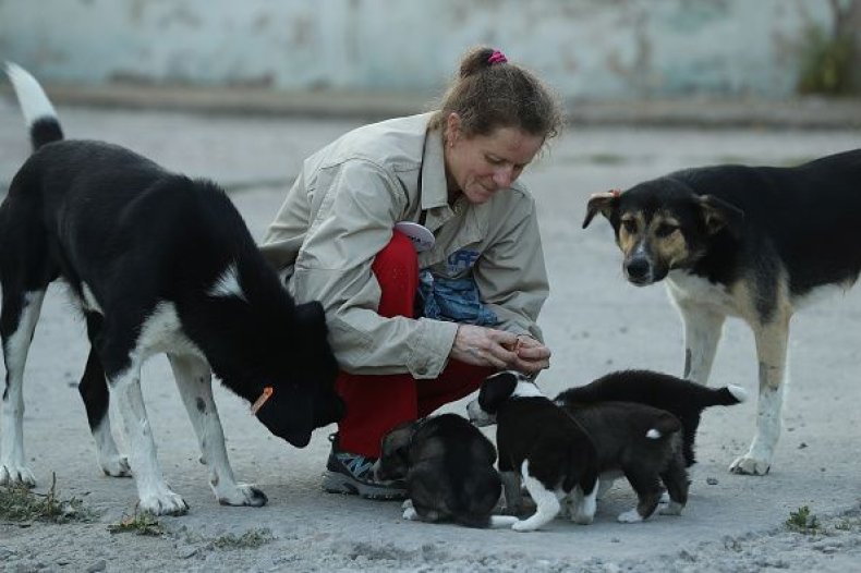 Volunteerfeedingdogs-0720