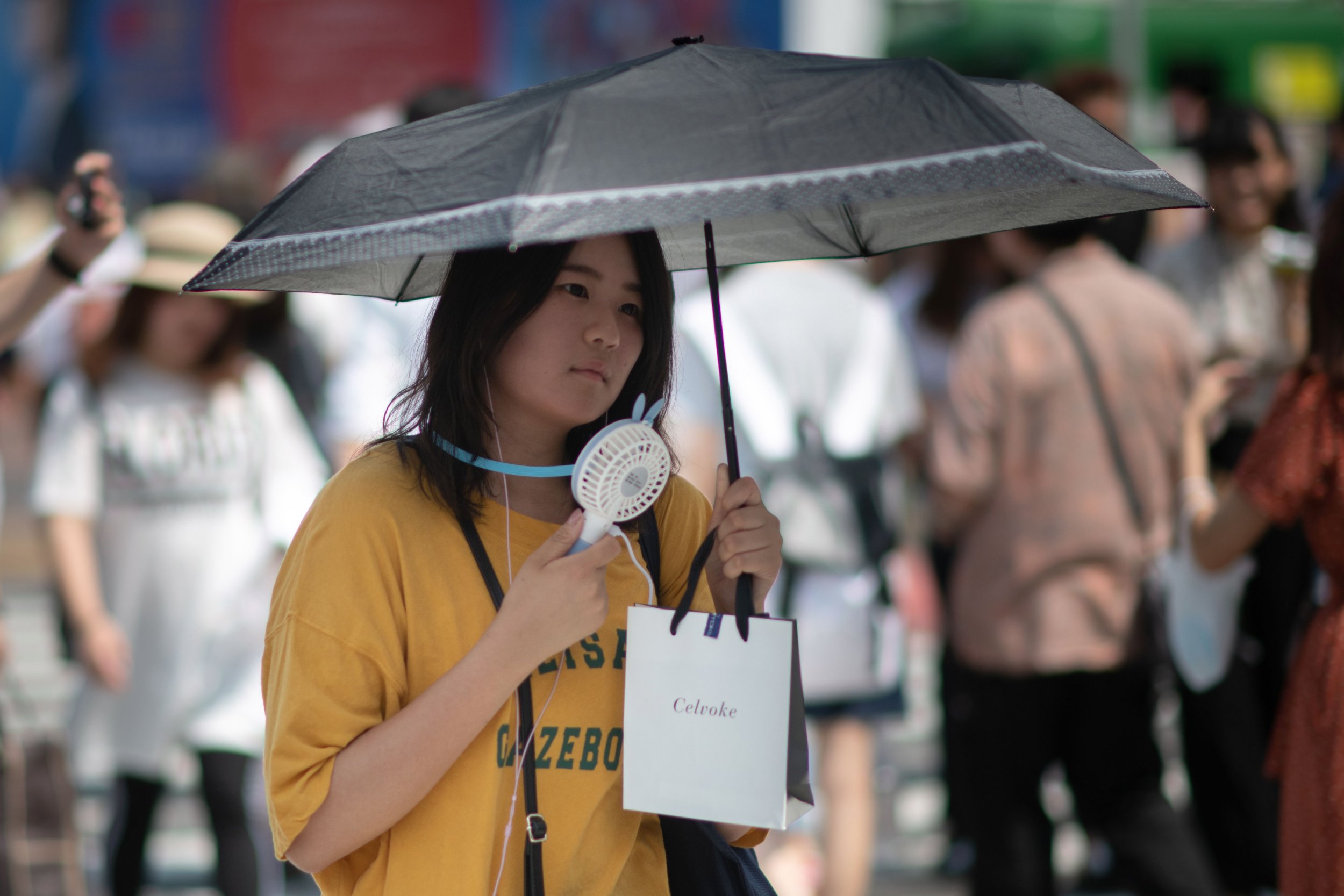 Japan Heat Wave Officially Declared a Natural Disaster With 65 Dead and