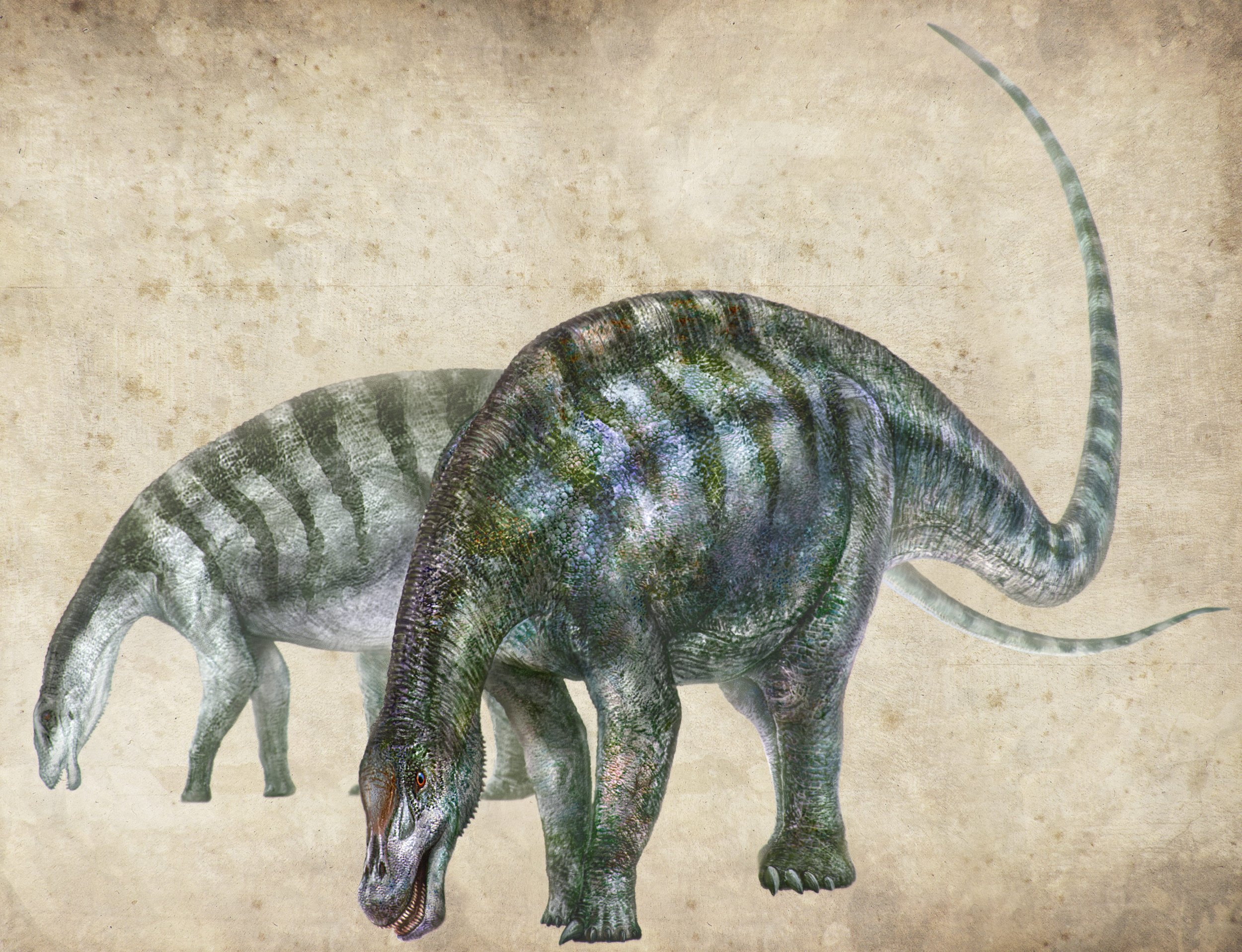 The 'Amazing Dragon of Lingwu' New 50footlong Dinosaur Species Found