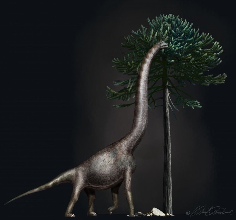 0724-dino
