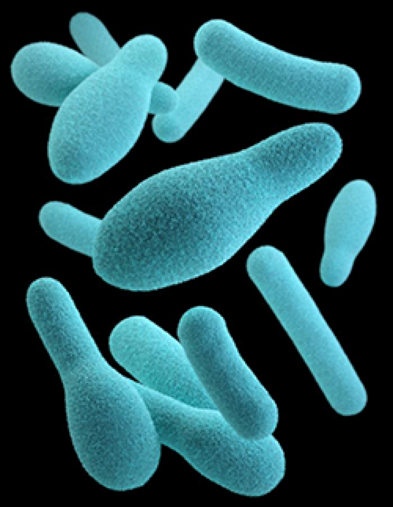 21911_lores-3D-botulinum