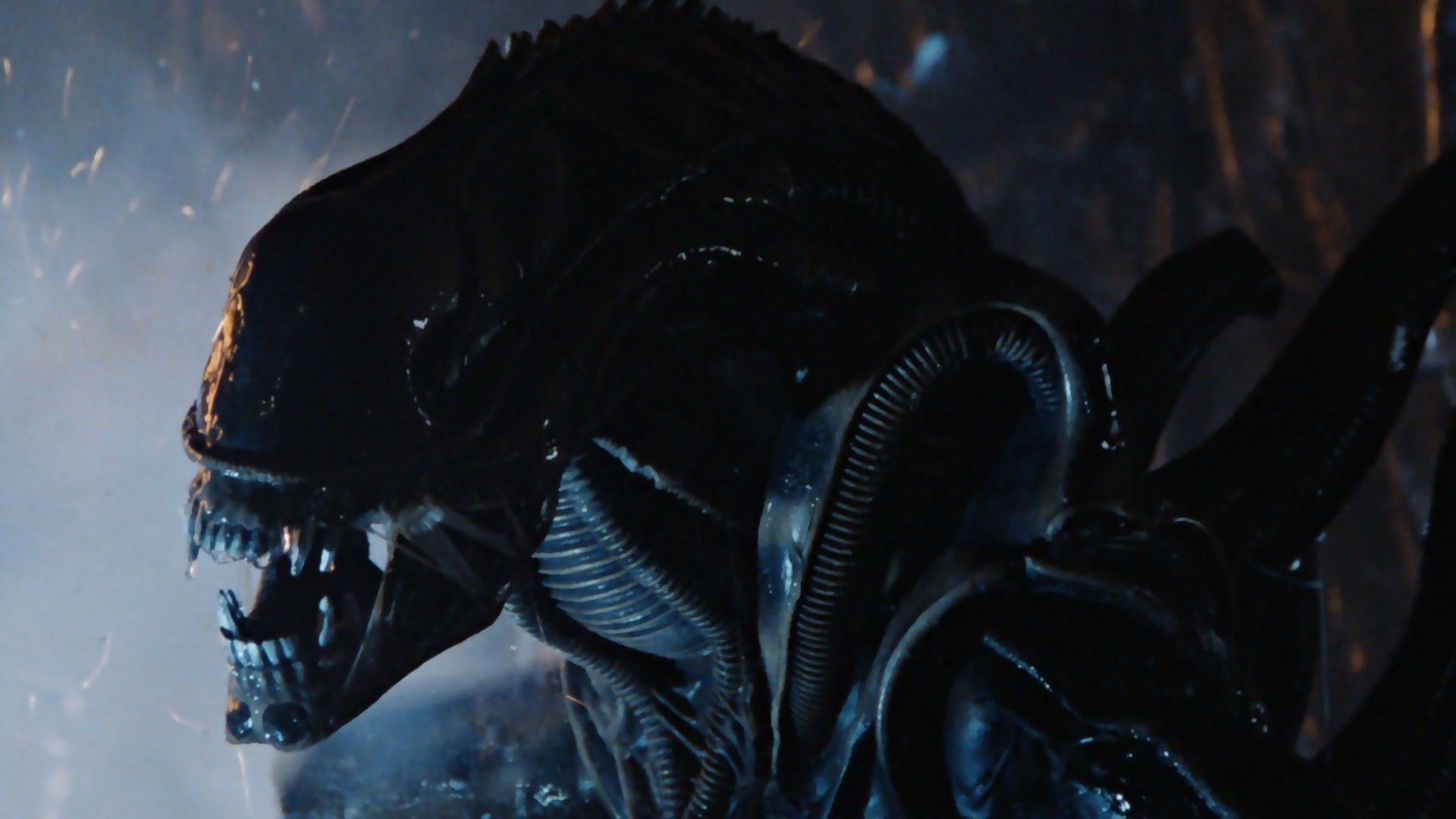 It's The 'Alien' 40th Anniversary, What Will Disney Do With Its New Xenomorph?