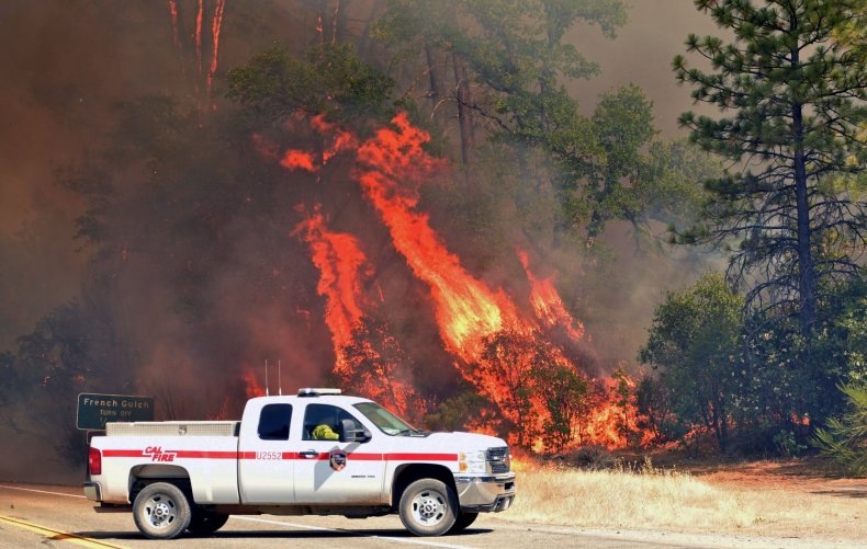 Flames engulf trees
