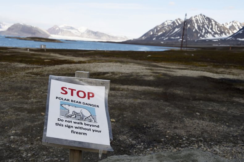 Authorities defend shooting of polar bear that attacked cruise employee