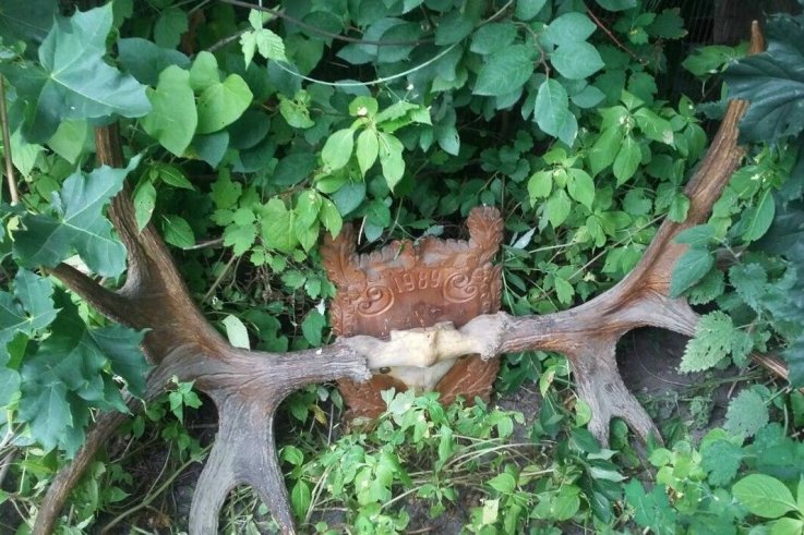 08_01_antlers 08_01_antlers