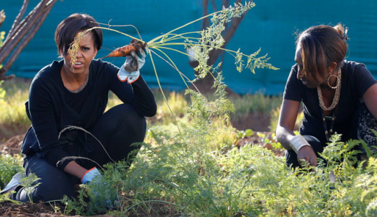 Michelle Obama Tending to a Garden Michelle Obama Tending to a Garden