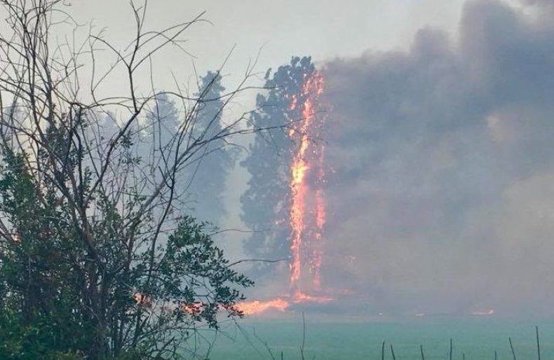 south valley fire south valley fire