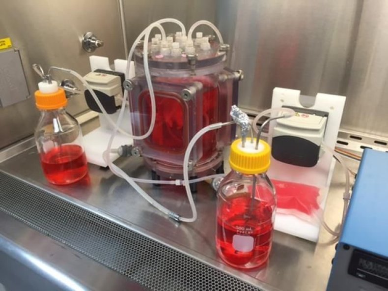 bioreactor set up-080318