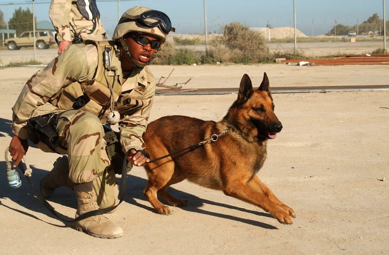 GUARDIANS OF AMERICA FREEDOM MEDAL military honor for dogs