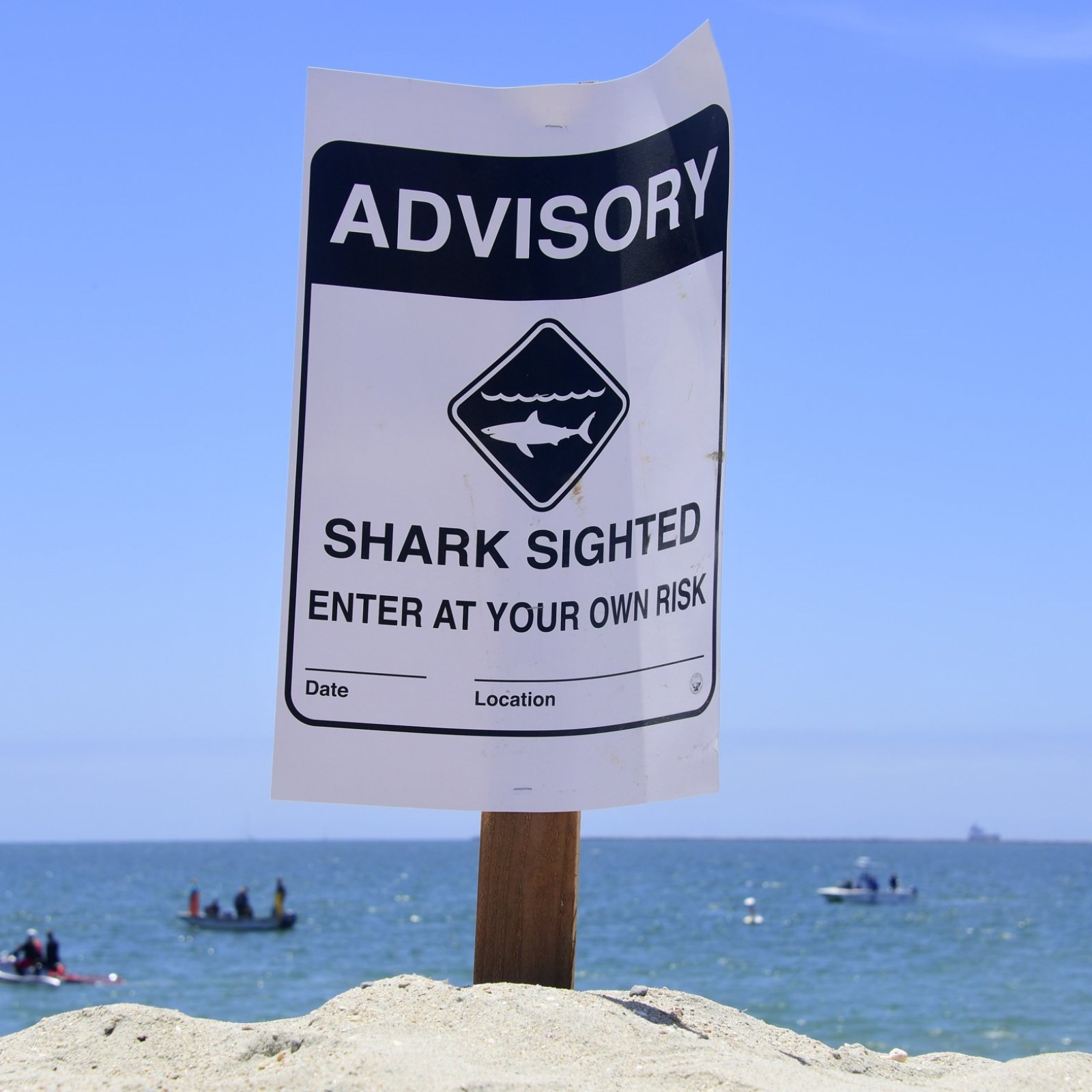 Crystal Beach Shark Attack Man Bitten At Galveston Texas Beach