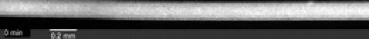 8_10_Cytoplasm Death 8_10_Cytoplasm Death