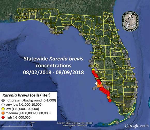 red tide florida 2016 map