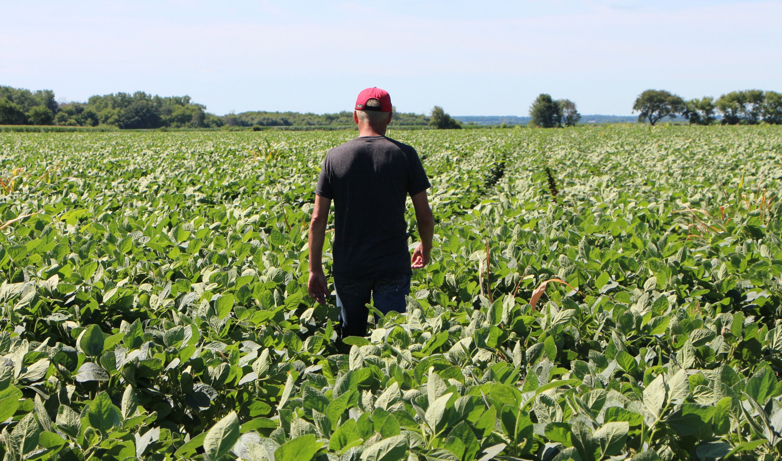Soybean Farmer Trump's Trade War Has 'Devastated' Industry Newsweek