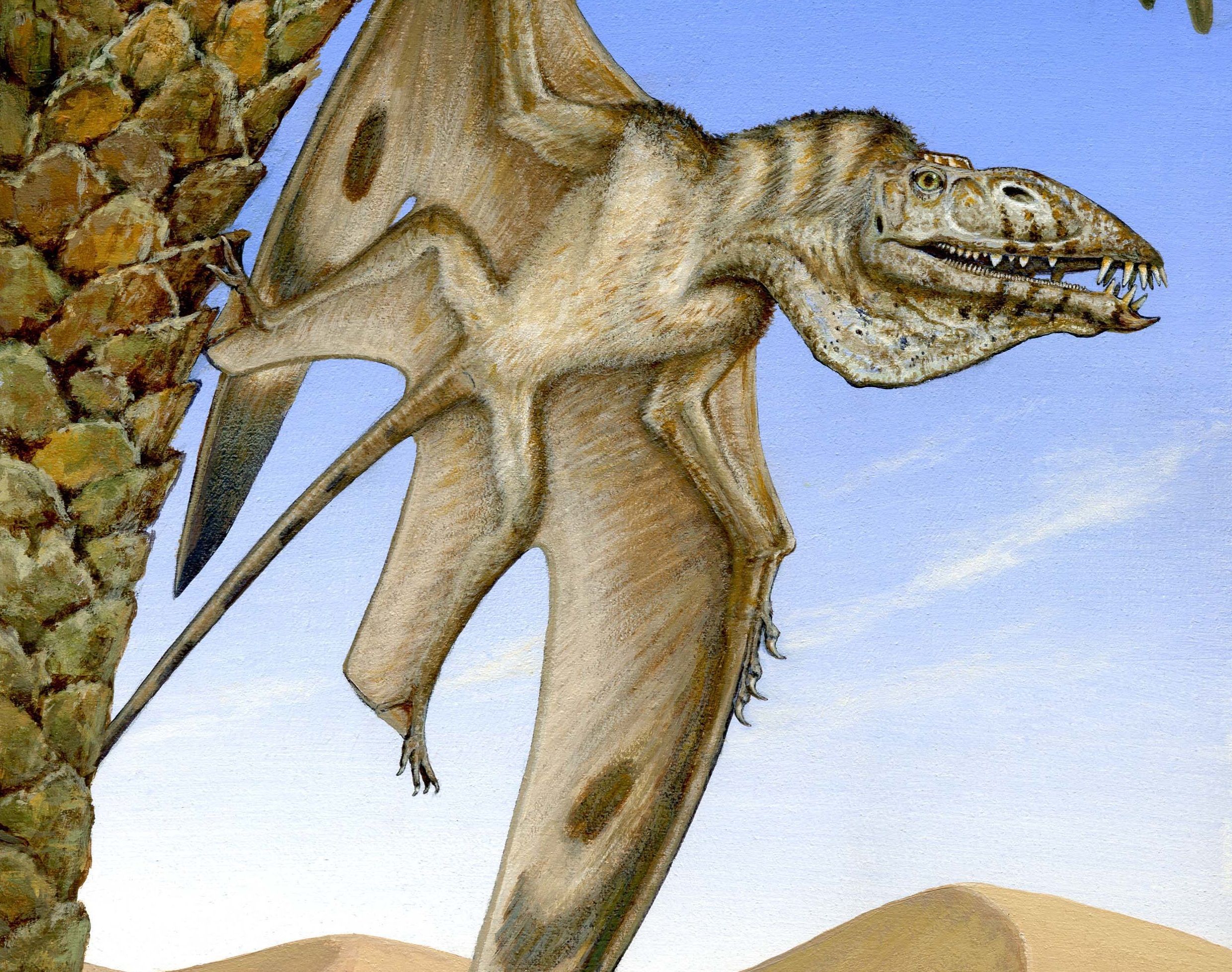 Древние ящерицы. Caelestiventus Hanseni. Птерозавры Триасового периода. Мезозойская Эра птеродактиль. Кетцалькоатль (Птерозавр) мезозой.