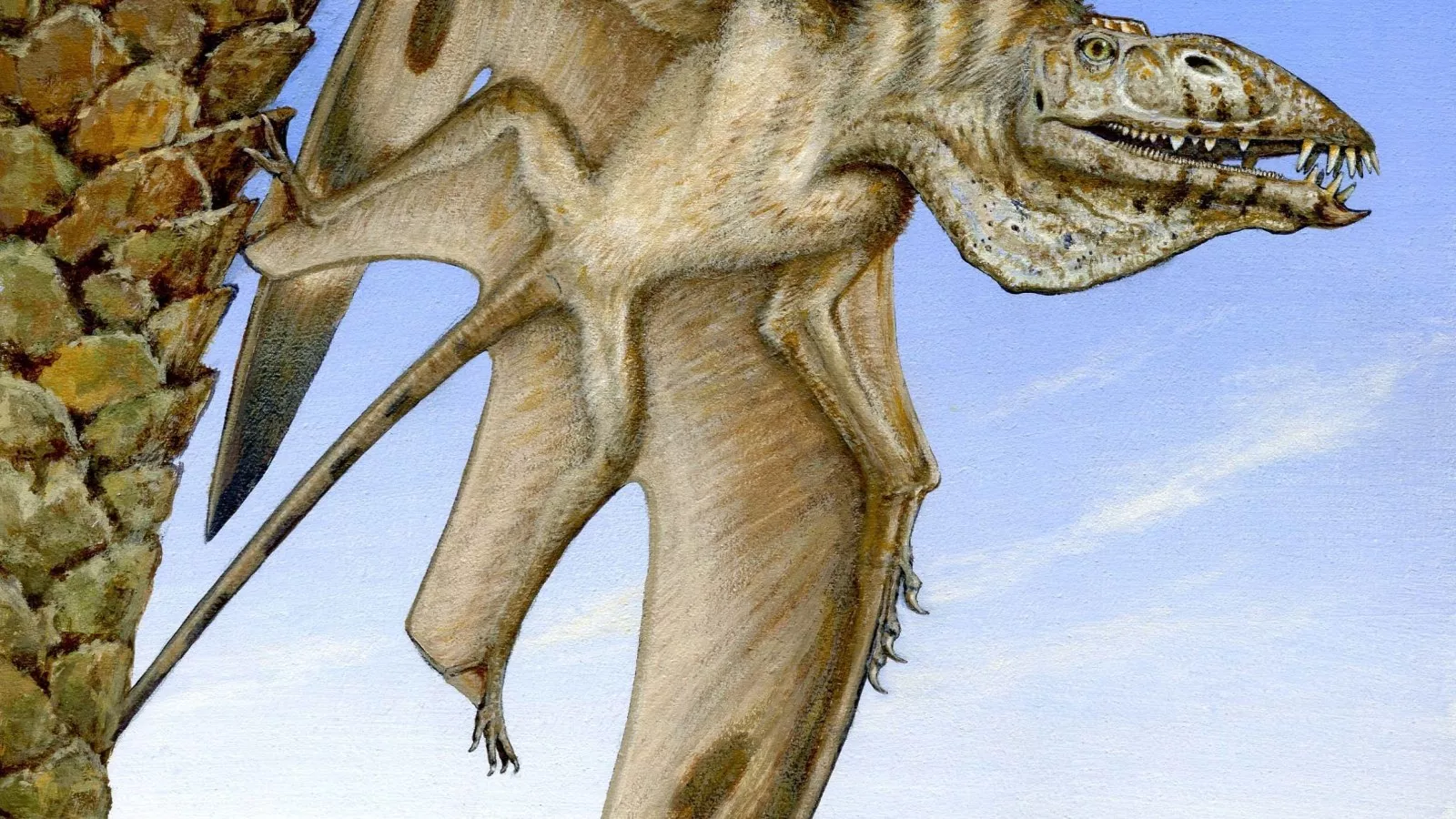 Pterodactyls And Other 'Flying Dinosaurs' Were Actually Di-not-saurs