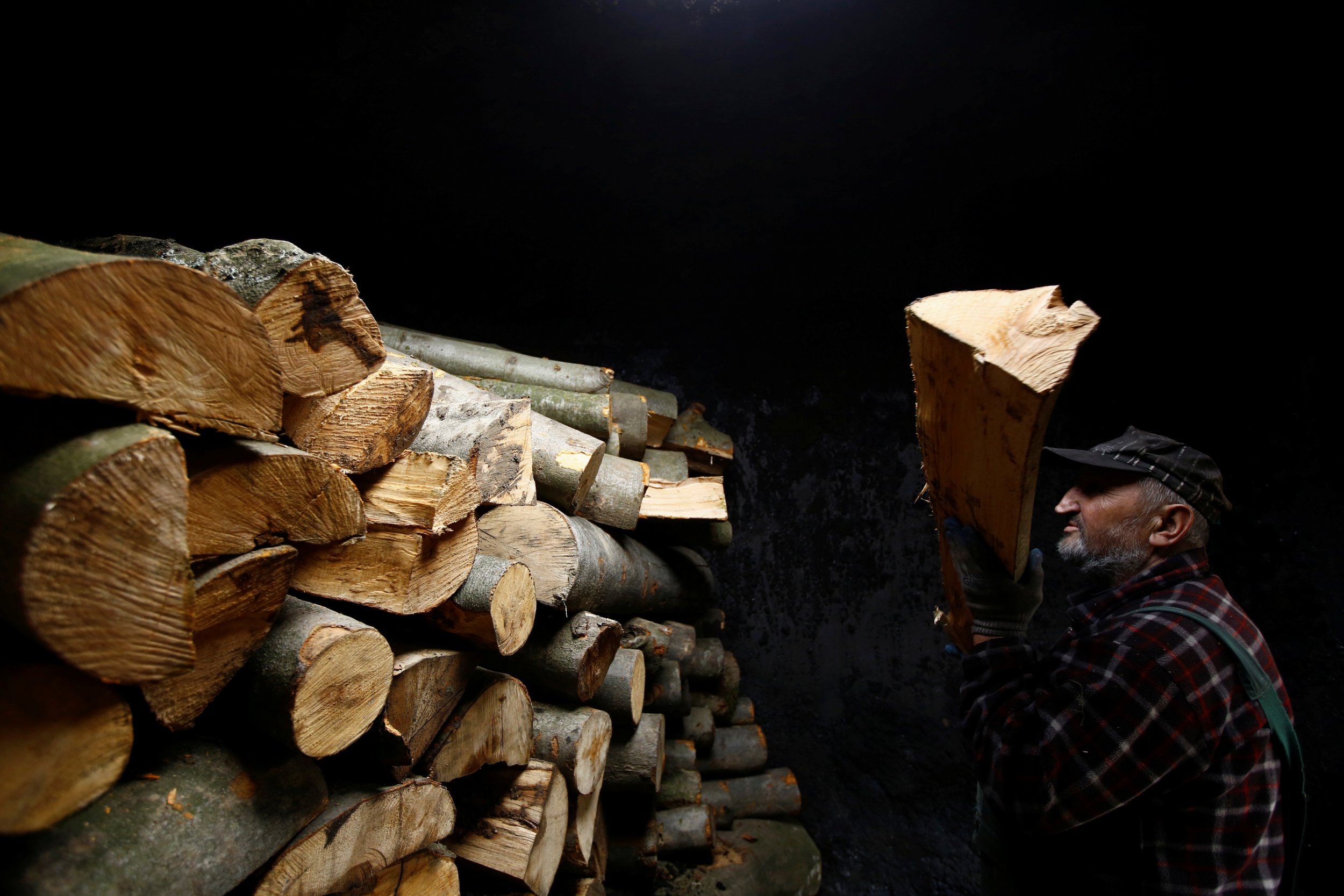 Man with Logs