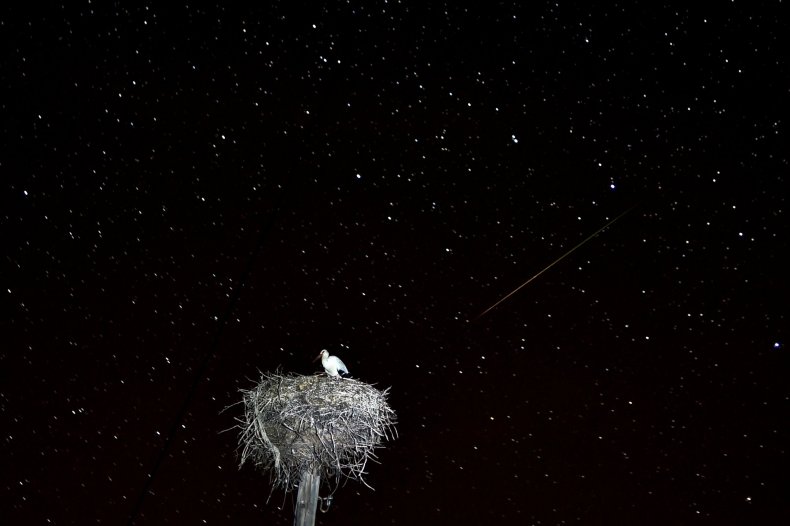 Perseid meteor shower