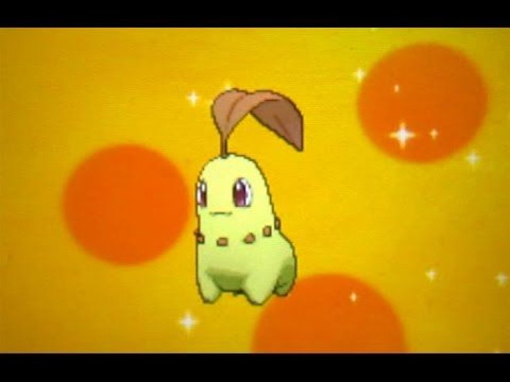 shiny chikorita pokemon shiny chikorita pokemon
