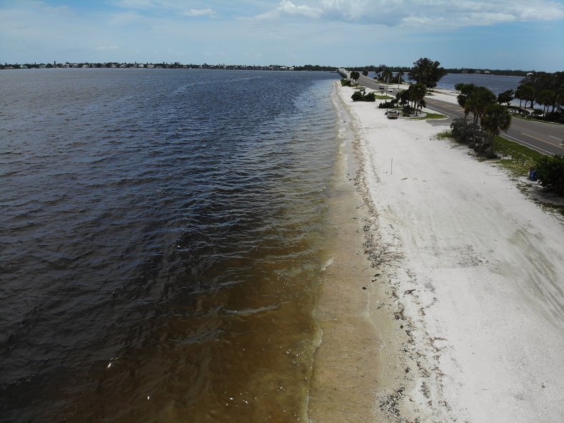 8_15_Florida Red Tide_01 8_15_Florida Red Tide_01