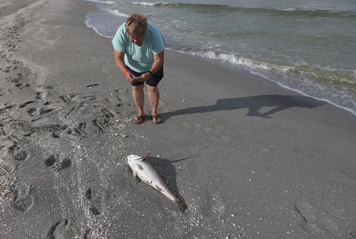 8_15_Florida Red Tide_06