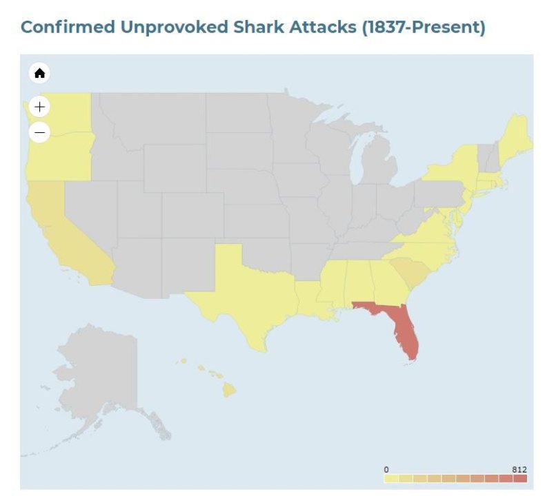shark