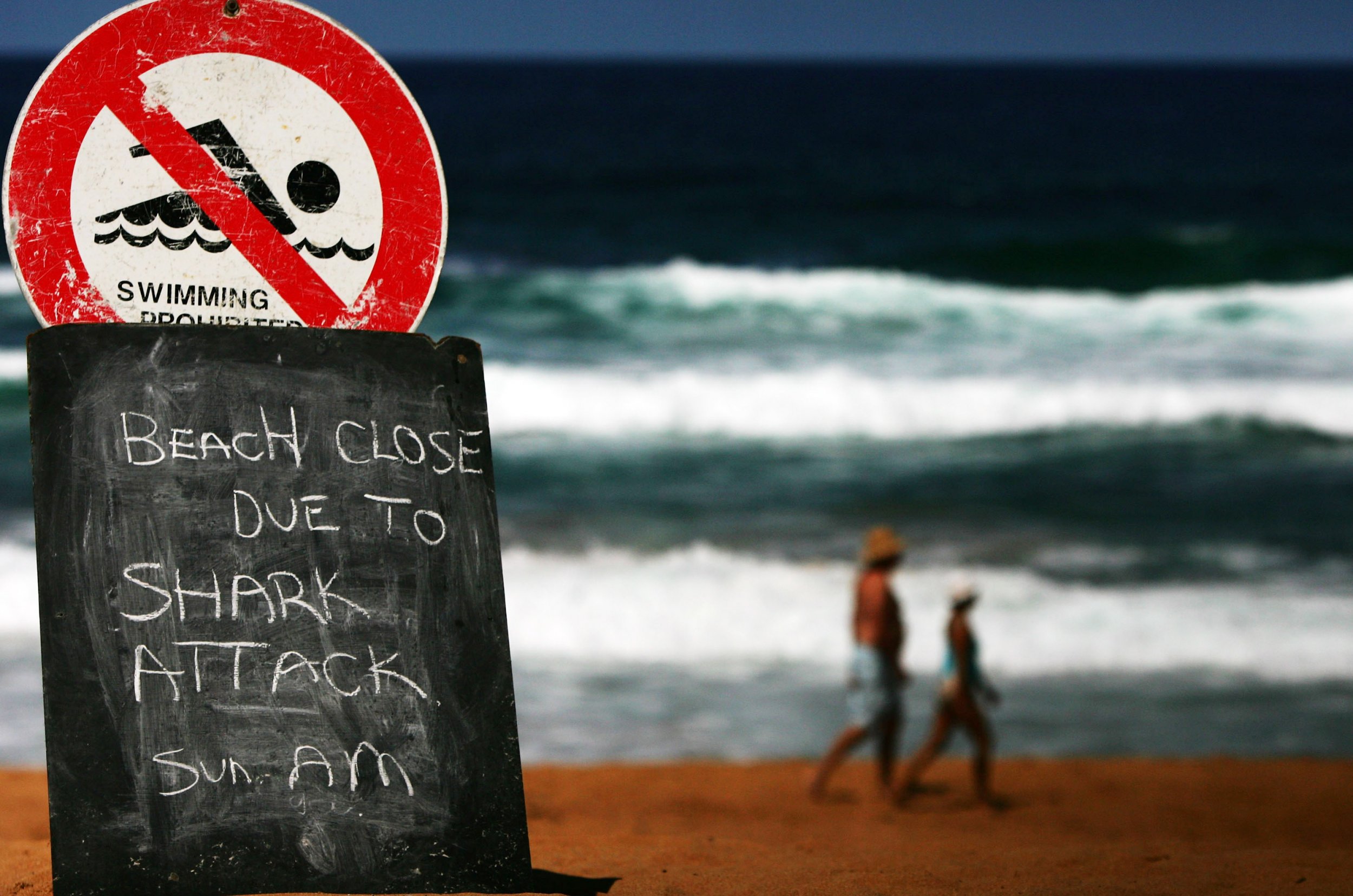 Shark Attack Map Man Bitten In Cape Cod Where Is An Attack Most Likely