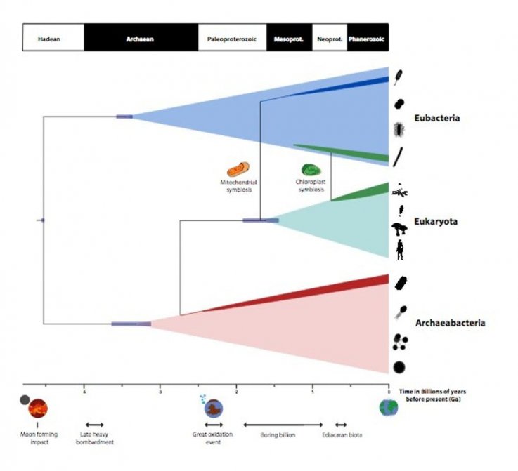 8_21_Evolution Timescales 8_21_Evolution Timescales
