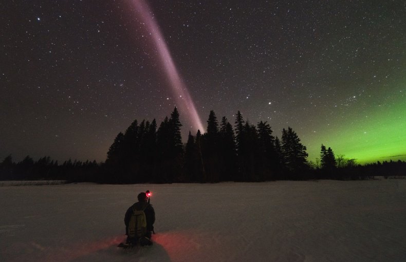 STEVE_High-res_Ryan-Sault
