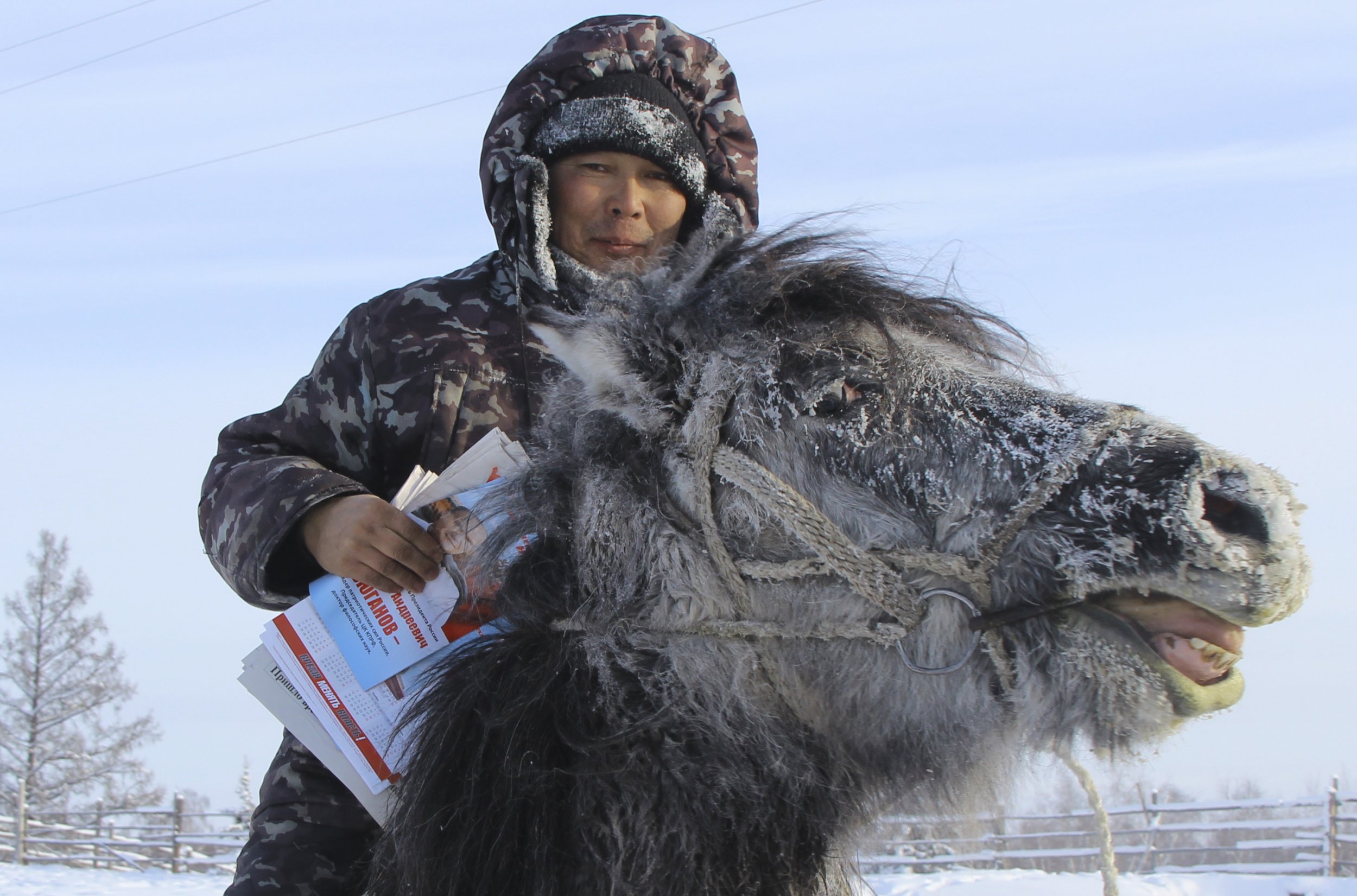 8_27_Horse Yakutia