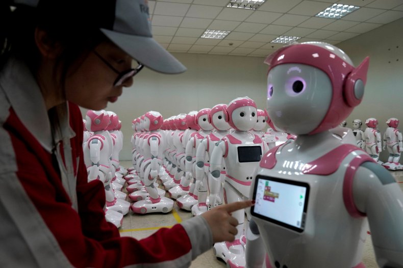 iPal Robots Group