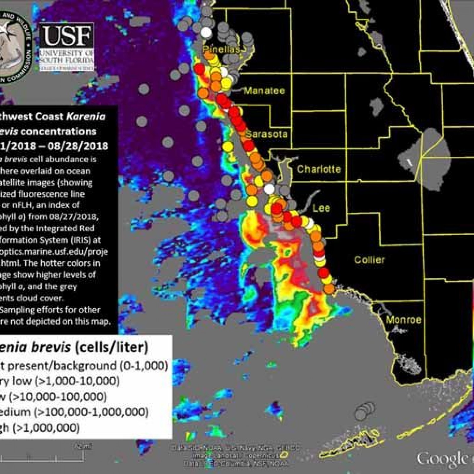 2018 Red Tide Map Florida Map